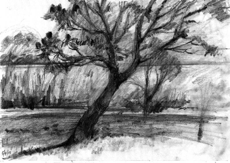 800x568 Nature Sketch - Sketch Pictures Of Nature
