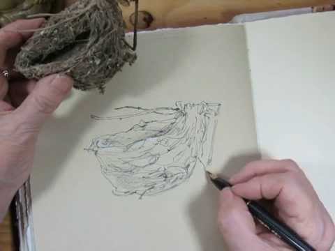 480x360 Sketching In Nature - Sketch Pictures Of Nature