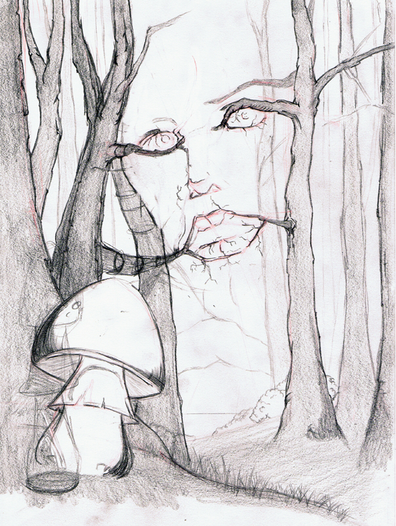 565x750 Mother Nature Drawings - Sketch Pictures Of Nature