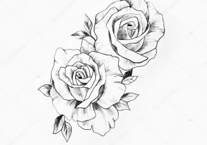 300x210 Beautiful Rose Sketch - Sketch Pictures Of Roses