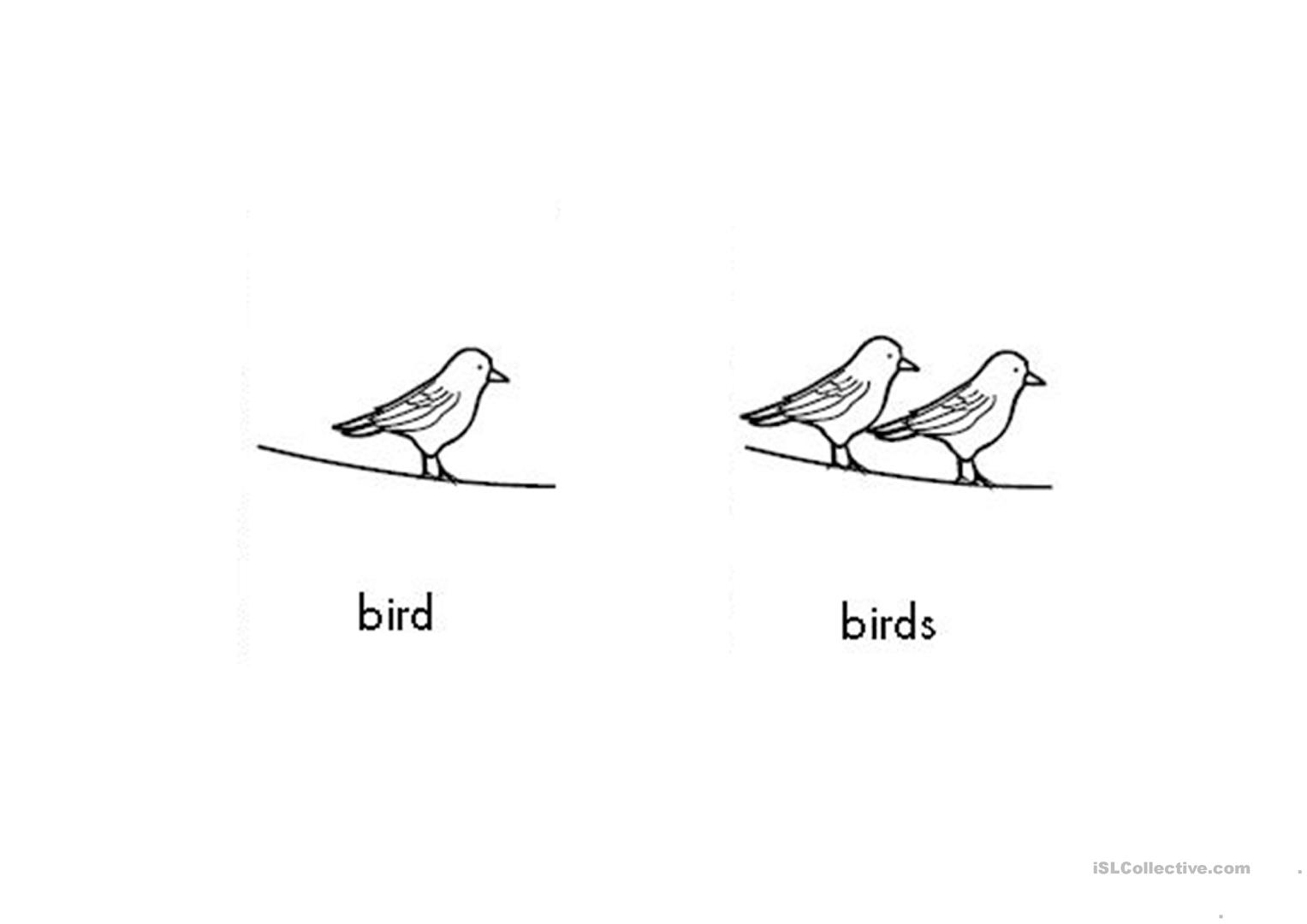 1527x1080 Singular Plural Nouns Worksheet - Sketch Plural