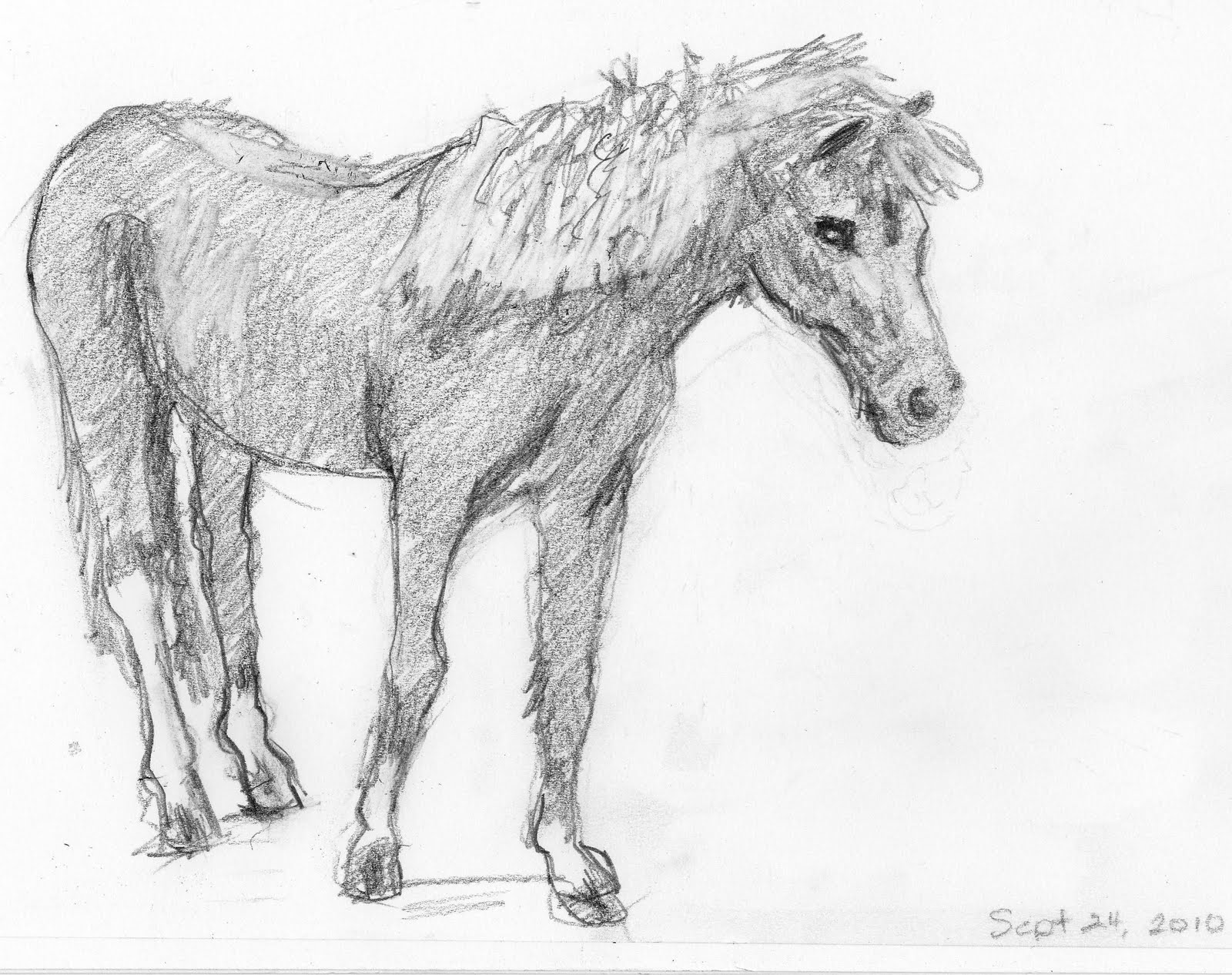 1600x1266 Frabjous Art Musings Horse Sketch 15 (Pony) - Sketch Pony