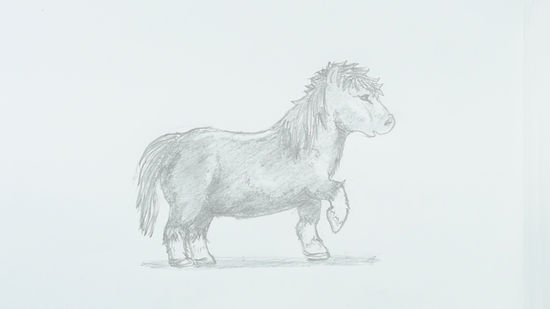 550x309 How To Draw A Pony 12 Steps (With Pictures) - Sketch Pony