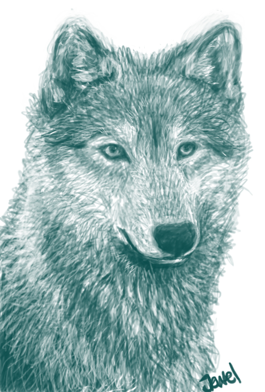 520x768 Wolf Sketch Port By Wolveslair - Sketch Port