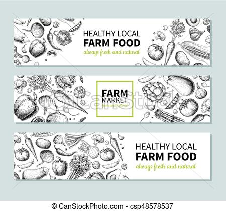 450x421 Vegetable Hand Drawn Vintage Vector Banner. Farm Market Poster - Sketch Poster