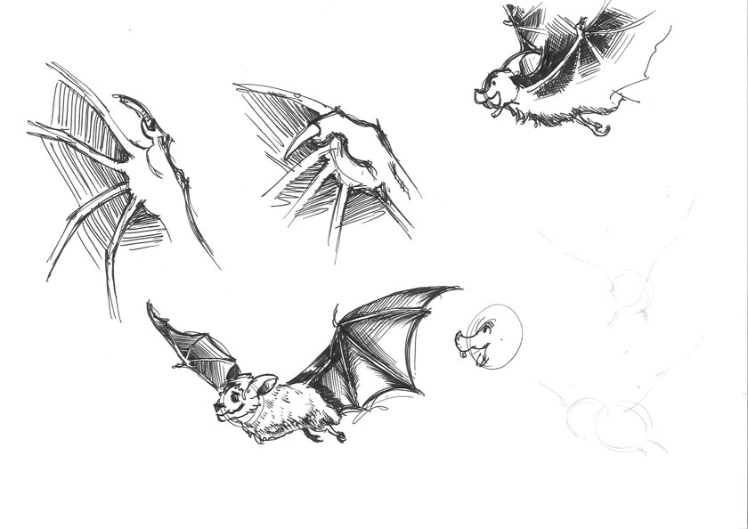840x594 Bats Sketch Practice! Oliver Latouf - Sketch Practice