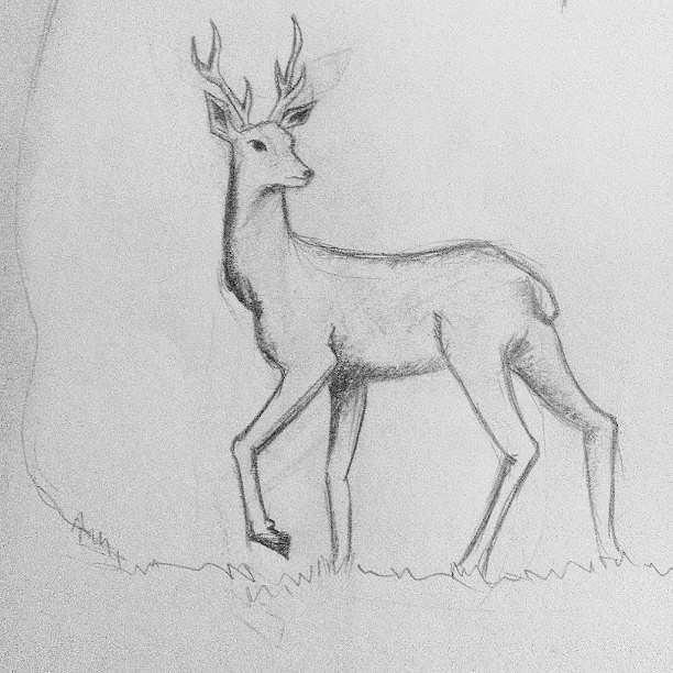 612x612 A Quick Sketch - Sketch Practice