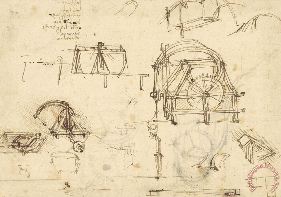 960x673 Leonardo Da Vinci Drawings Of Geometric Figures List Of Botanical - Sketch Print