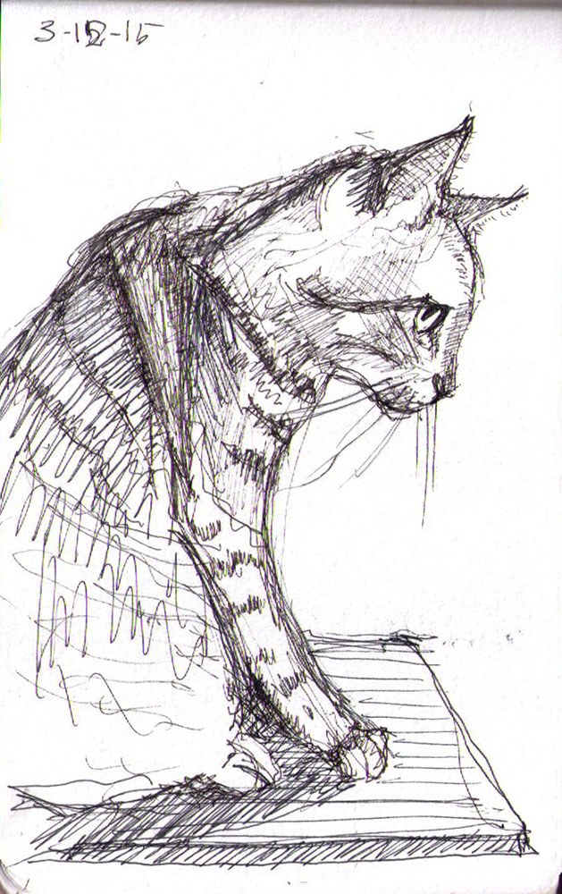 629x1000 Little Cat In Profile One Drawing Daily - Sketch Profile Picture