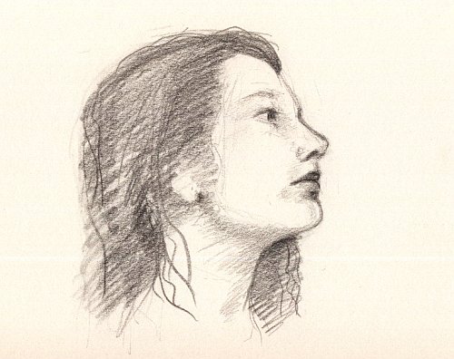 500x396 Postcard From Holland - Sketch Profile Picture