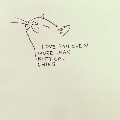 500x500 Adorable, Artsy, Cat, Cute, Drawing, Kitty, Pretty, Quotes - Sketch Quotes And Sayings