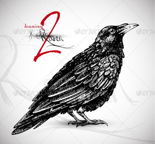 500x464 Raven Drawing By Silvertiger Graphicriver - Sketch Raven