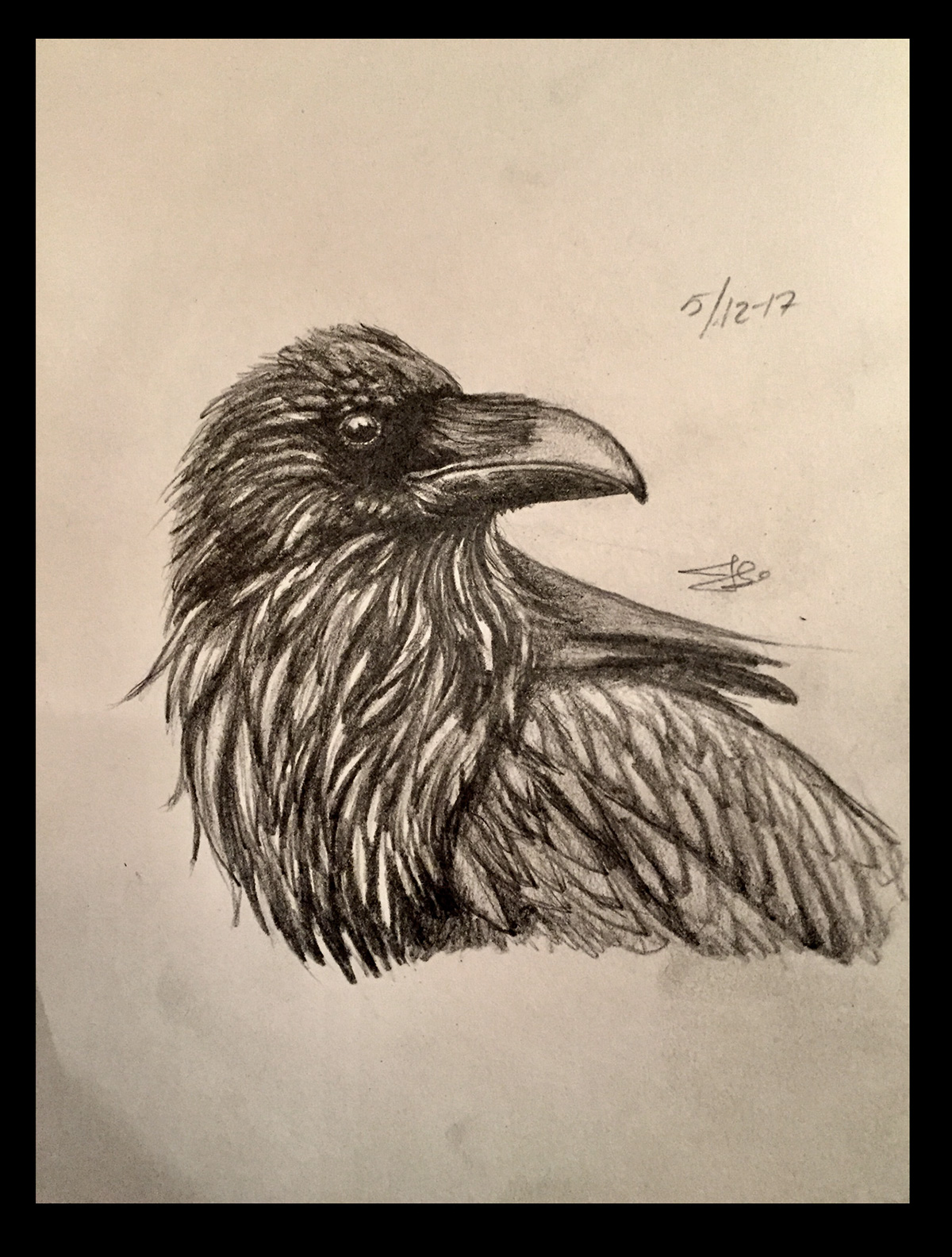 1200x1584 Raven Sketch On Behance - Sketch Raven