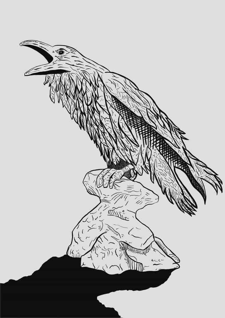 724x1024 Sketch - Sketch Raven