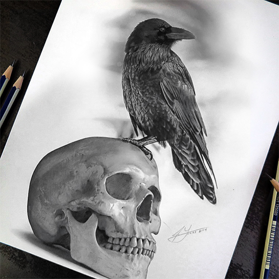 545x545 The Raven And The Skull - Sketch Raven