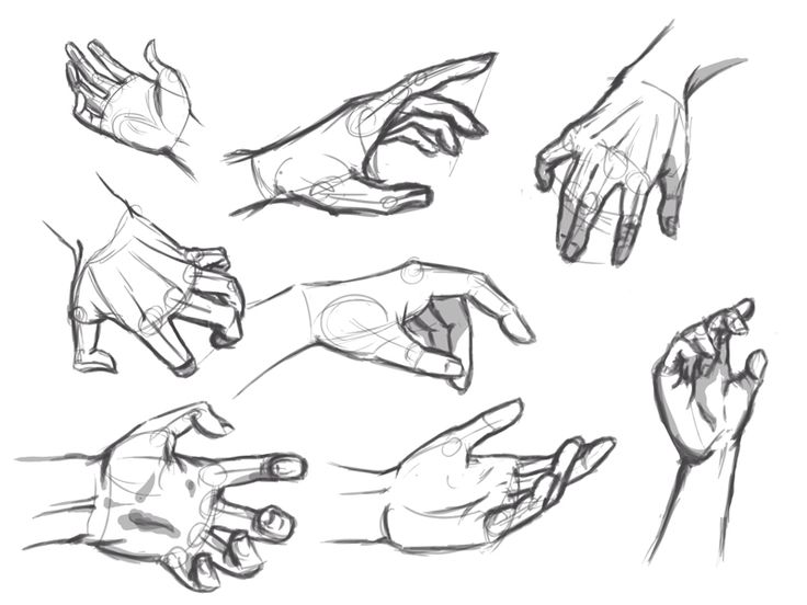 736x552 Hand Reference Drawing High Quality Drawing Skill - Sketch Reference