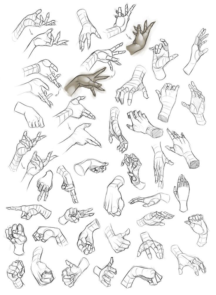736x1005 Hand Reference Drawing Sketch Drawing Skill - Sketch Reference