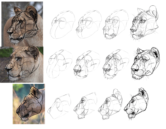 700x543 How To Draw From Imagination Beyond References - Sketch Reference