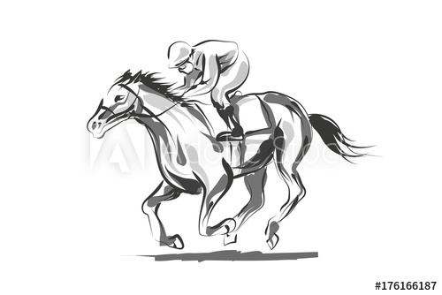 500x334 Vector Line Sketch Rider With A Horse - Sketch Rider