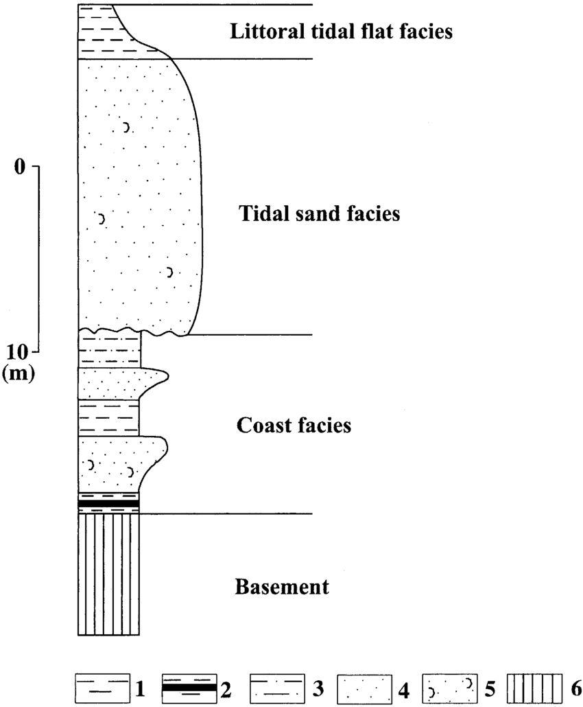 850x1030 Sketch Of Holocene Facies Succession In The Sub Aerial Tidal Sand - Sketch Sand