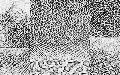 400x250 Sand Web Pencil Sketch Alison Schwabe Blog - Sketch Sand