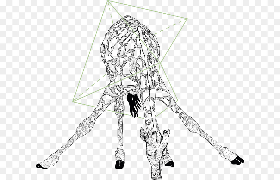 900x580 Giraffe Drawing Sketch - Sketch Shapes