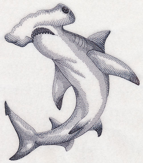 502x572 Machine Embroidery Designs - Sketch Shark
