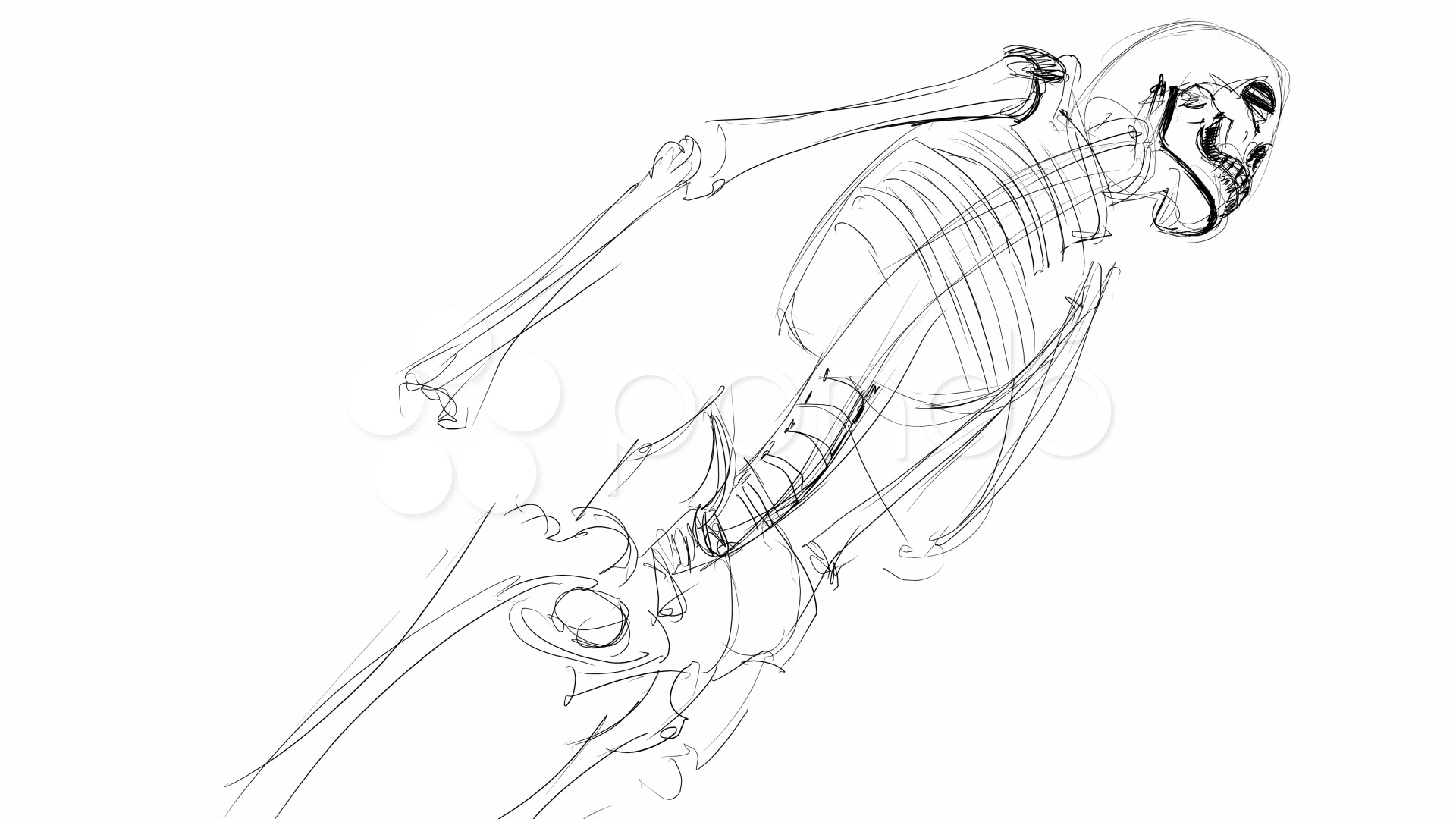 1920x1080 Skeleton Sketch ~ Sd, Hd, Amp 4k Stock Footage - Sketch Skeleton