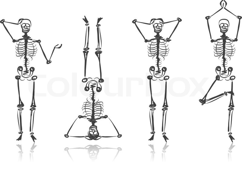 800x562 Skeleton Sketches For Your Design Stock Vector Colourbox - Sketch Skeleton