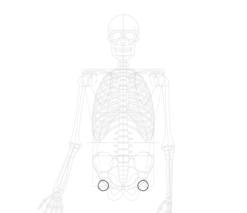 850x734 How To Draw A Skeleton Step By Step - Sketch Skeleton