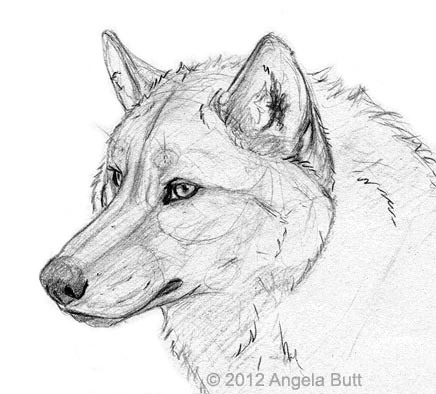 436x394 Sketch - Sketch Smoke