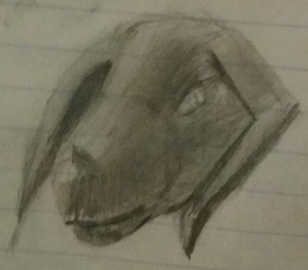 1024x898 Pencil Sketch Soft Shading Dragons! Amino - Sketch Soft