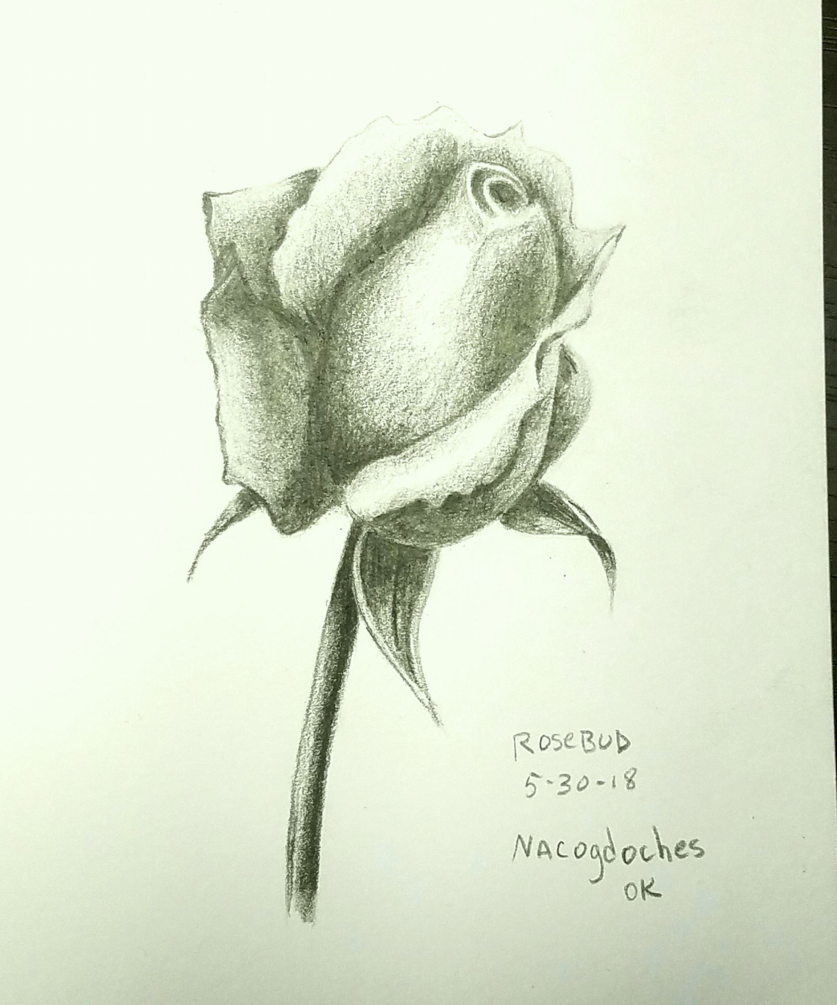 1680x2015 Why You Should Focus In Your Art - Sketch Something