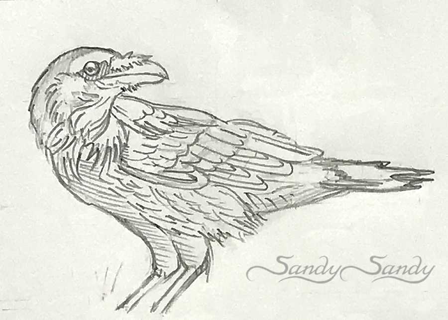 900x643 Drawing Everyday - Sketch Something