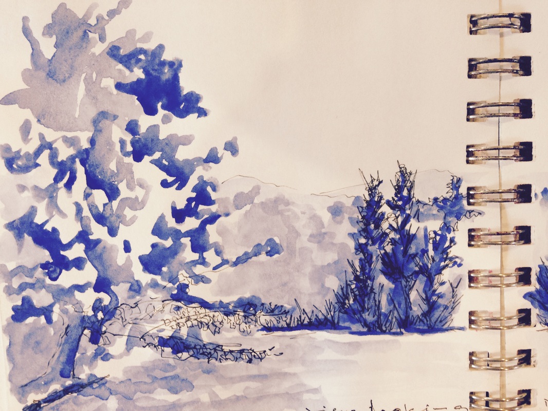 1066x800 Seeking Shade....and A Good Sketch Spot!ufeff - Sketch Spot