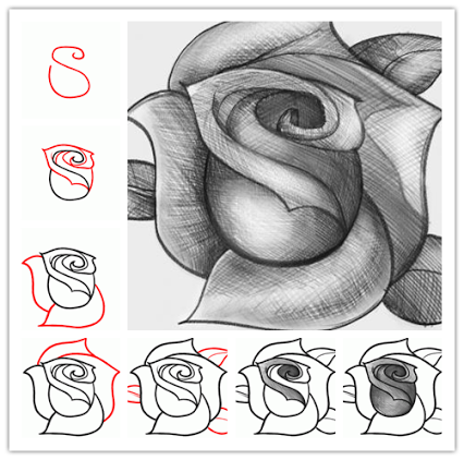 426x422 How To Sketch A Rose Step By Step Art In 2018 - Sketch Step By Step