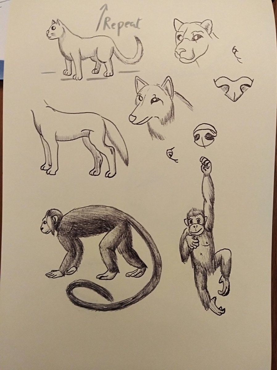 898x1200 Miguel Trassierra On Twitter This Week - Sketch Studio