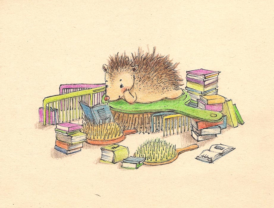 922x700 Adelaida - Sketch Synonym