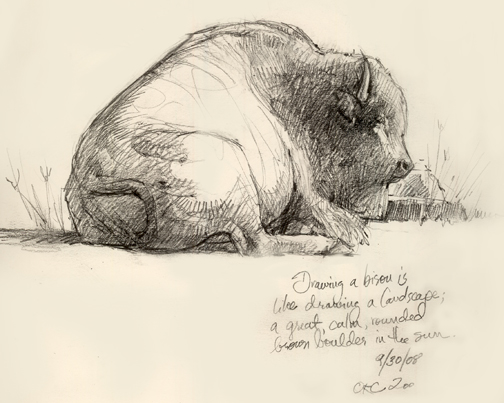 504x403 Sketch Therapy What I Drew - Sketch Therapy