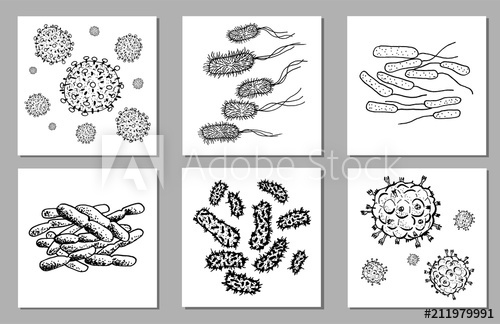 500x324 Vector Set Of Black Sketch Bacteria Isolated On White Backgtound - Sketch Therapy