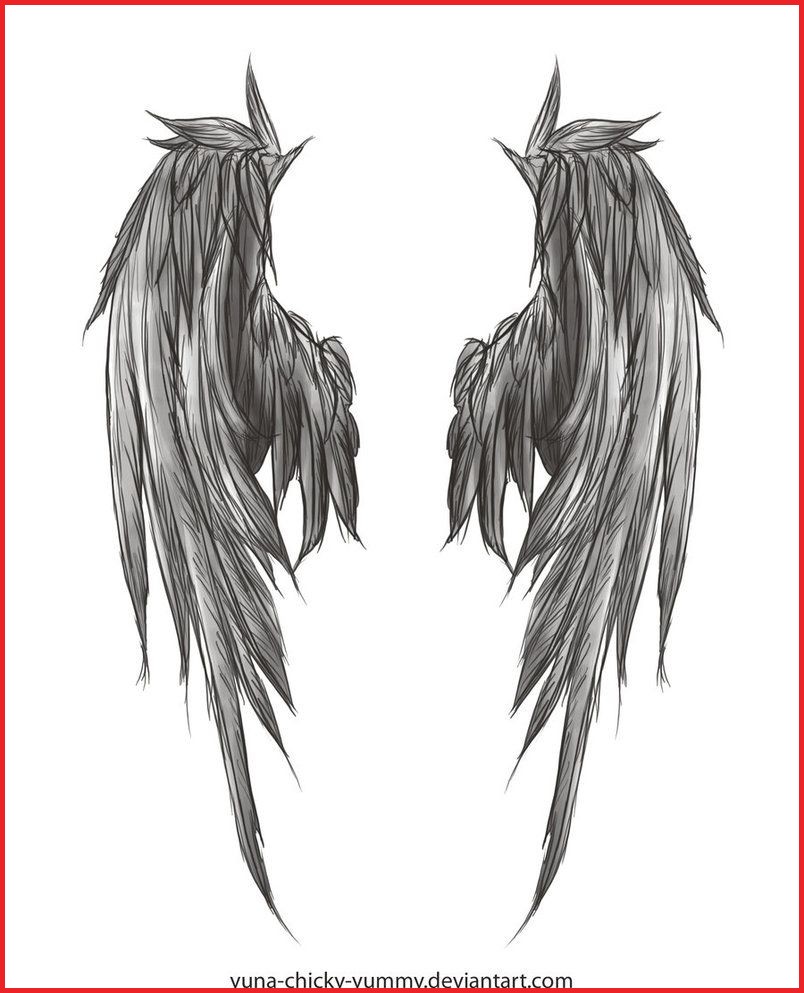 804x993 Wings Drawing 110250 Angel Wing Drawing I Found In I Ll - Sketch This Deviantart