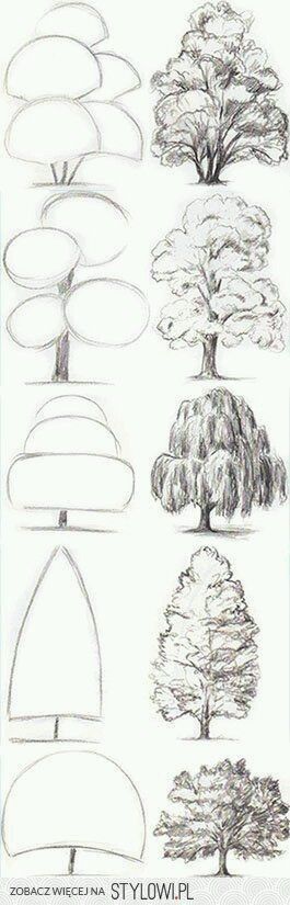 265x825 I Like Trees. Learn Drawing, Drawing Tricks, Sketching Tips - Sketch Tips And Tricks