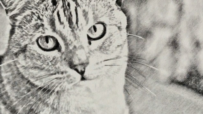 690x388 After Effects - Sketch To After Effects