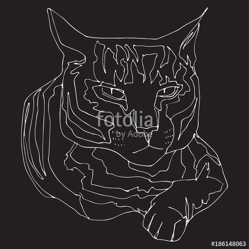 500x500 Hand Drawn Doodle Cat. Decorative Vector Outline Image. White - Sketch To Cat