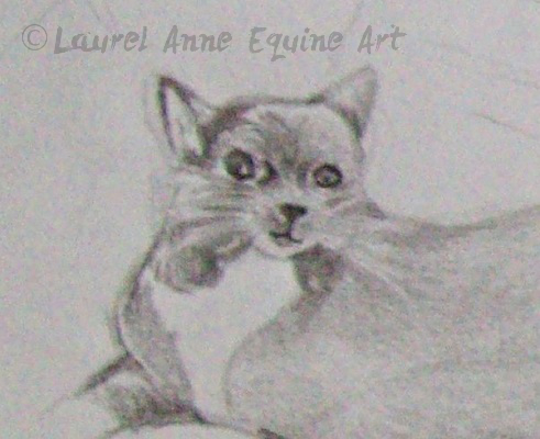 491x400 Cat Sketch Boot Camp How To Get Better At Drawing And Draw - Sketch To Cat