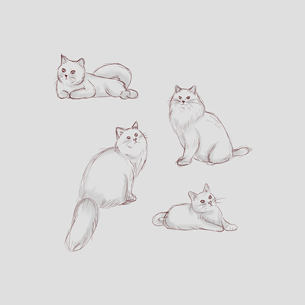 600x600 Cat Sketches Steemit - Sketch To Cat