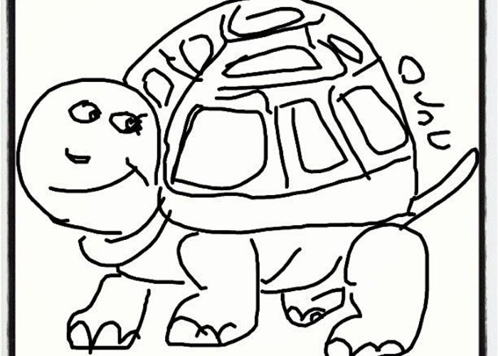 700x500 Turtle - Sketch To Paint