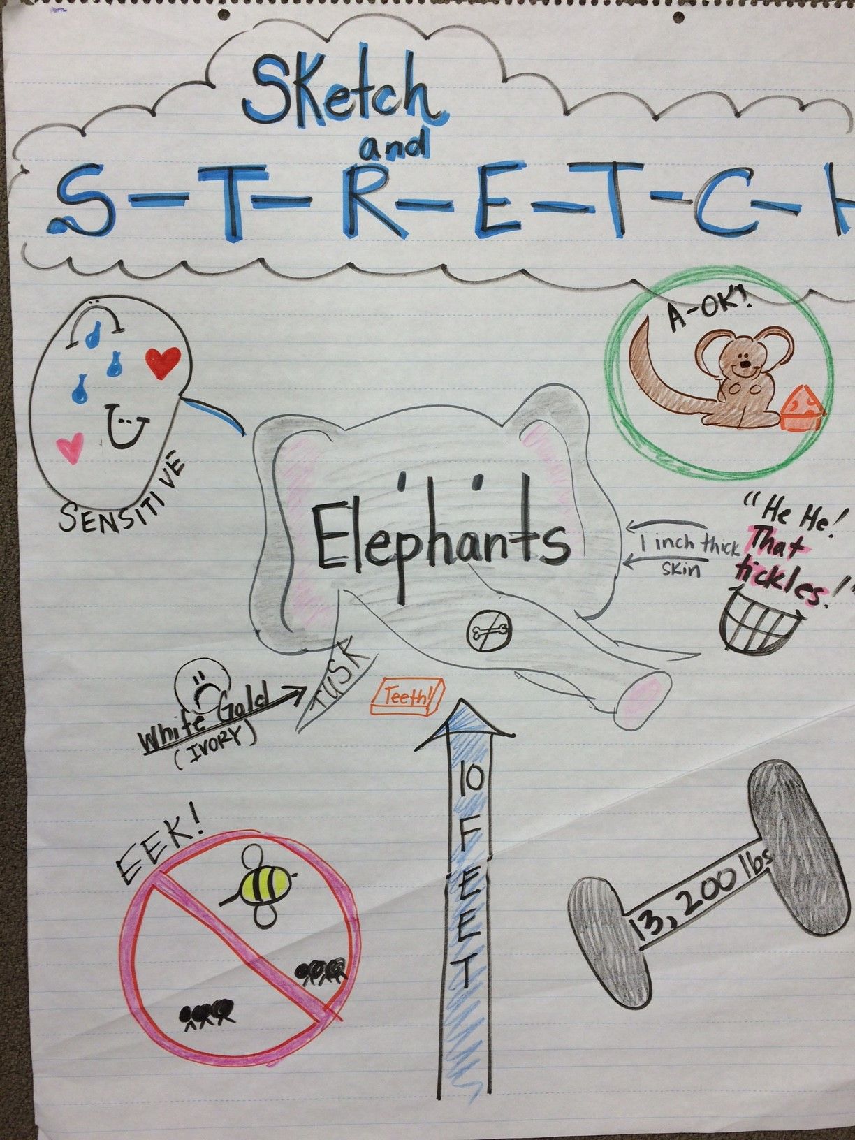 1224x1632 Sketch To Stretch Anchor Chart. Content Literacy - Sketch To Stretch