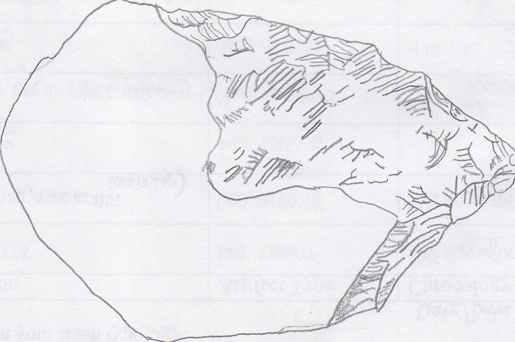 1024x681 Fileoldowan Chopper Stone Tool Sketch.jpg - Sketch Tool