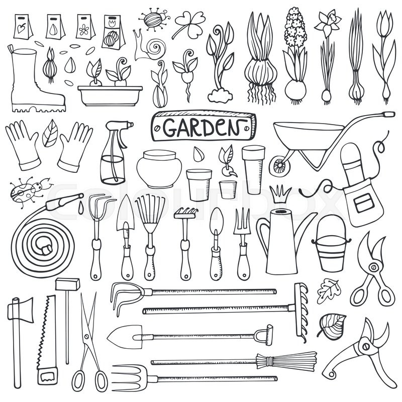 800x800 Spring Garden Set.hand Drawn Vector Sketch Elements Flowers,bulbos - Sketch Tool